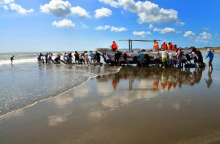 【開催】観光地曳網のお知らせ 【開催】観光地曳網のお知らせ