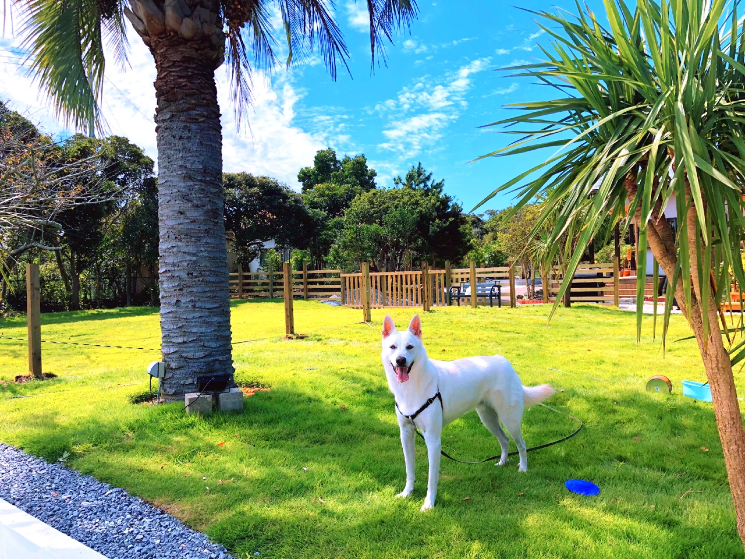 The Garden Hotel With Dog 千葉県一宮町観光協会