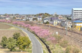 一宮町「移住体験バスツアー」参加者募集