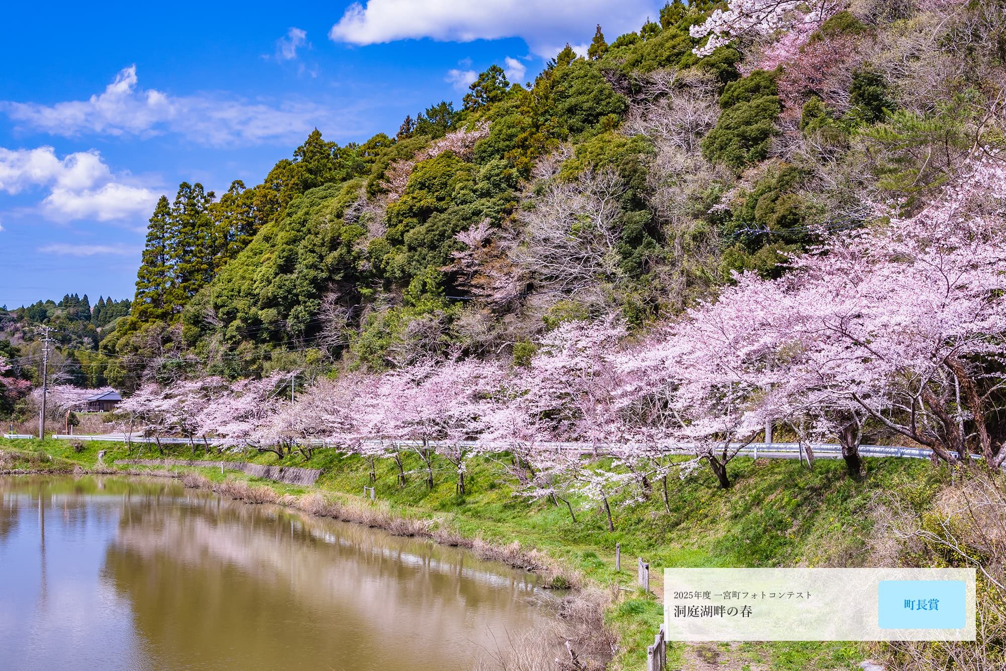 一宮町フォトコンテスト2025受賞作品