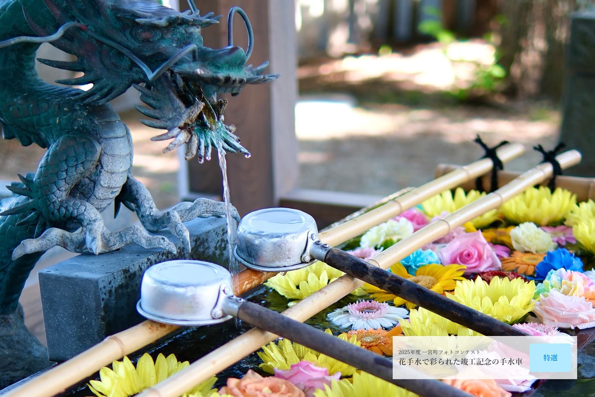 一宮町フォトコンテスト2025受賞作品