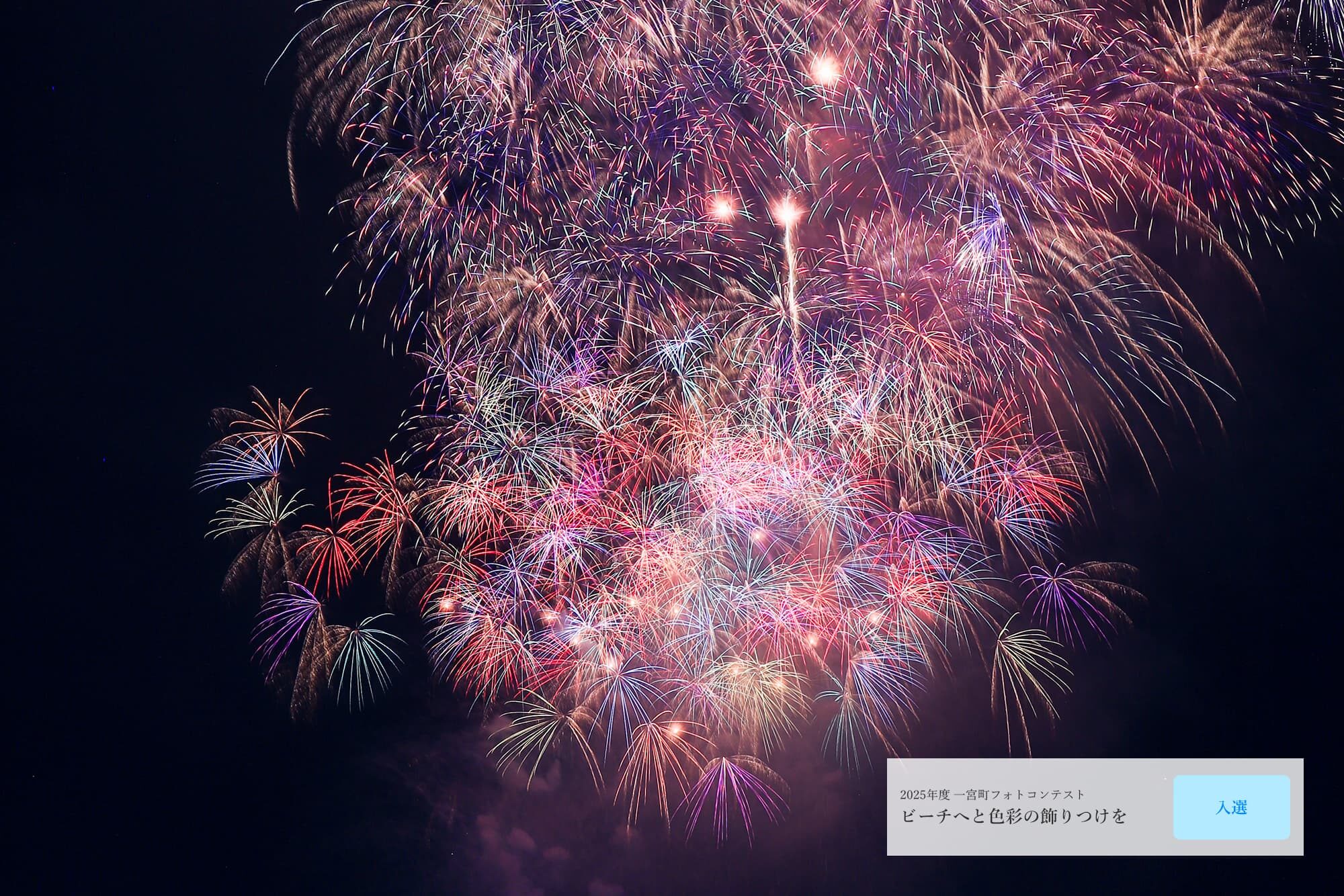 一宮町フォトコンテスト2025受賞作品