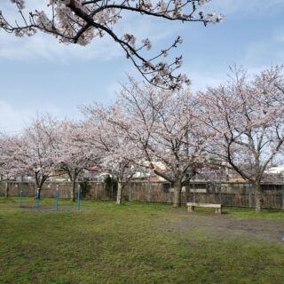 千葉県一宮町観光協会 ぶらり 旅する 潮風のまち 東京駅から特急で60分 圏央道もできて ますます便利