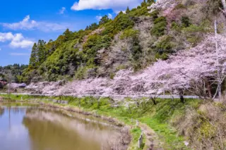 【希少@1280】洞庭湖 250px-Douteiko-lakeside.jpg